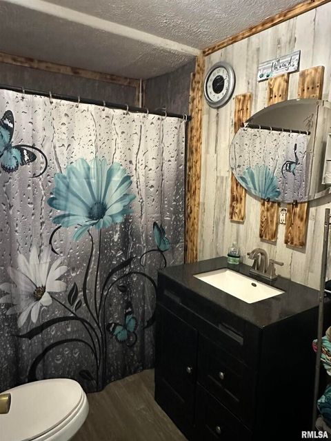 Tiny photo for 717 S 18TH Street, Herrin, IL 62948 (MLS # EB460348)