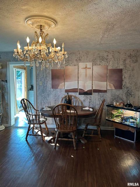 Tiny photo for 717 S 18TH Street, Herrin, IL 62948 (MLS # EB460348)