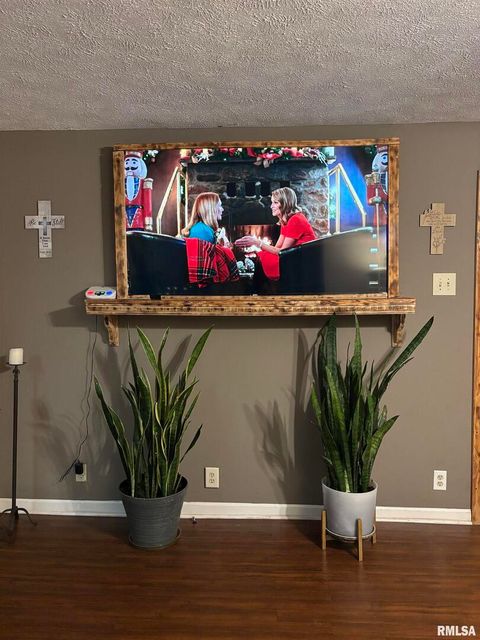 Tiny photo for 717 S 18TH Street, Herrin, IL 62948 (MLS # EB460348)