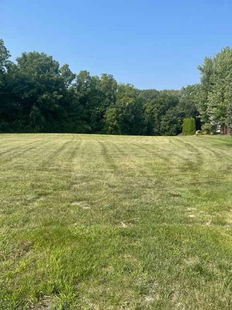 8216 Shadow Creek Lane