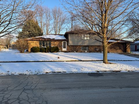 20937 Ron Lee Drive Shorewood IL 60404