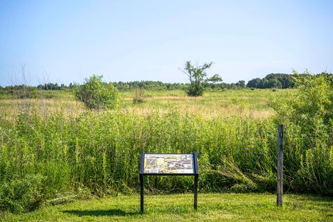 Tiny photo for Pingree Grove, IL 60140 (MLS # 12572882)