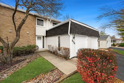 Photo of 524 Jordan Way, Bolingbrook, IL 60440 (MLS # 12512543)