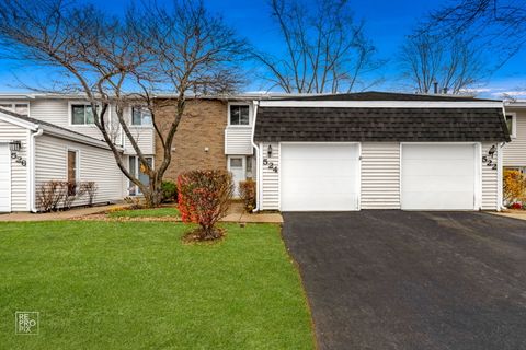 Tiny photo for 524 Jordan Way, Bolingbrook, IL 60440 (MLS # 12512543)