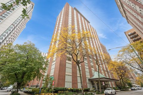 1325 N State Parkway 11F Chicago IL 60610