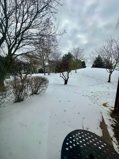 Tiny photo for 2267 Briar Court, Hoffman Estates, IL 60169 (MLS # 12565940)