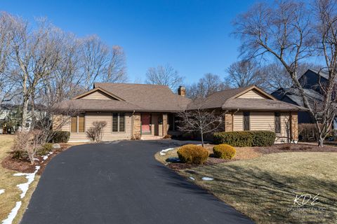 Tiny photo for 1127 Thunderbird Lane, Naperville, IL 60563 (MLS # 12570058)