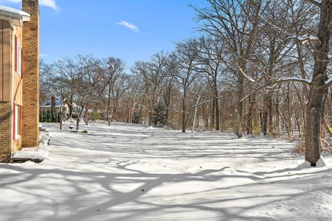 Tiny photo for 590 Timber Lane, Frankfort, IL 60423 (MLS # 12521524)