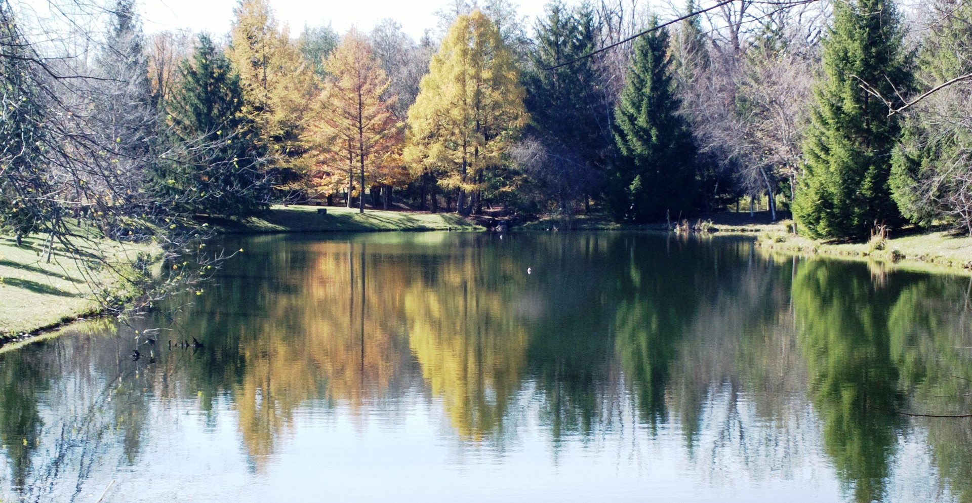 Int. Irish Ln and Lincoln Road