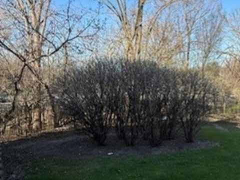 Tiny photo for 219 Riverfront Drive, Mount Prospect, IL 60056 (MLS # 12612692)