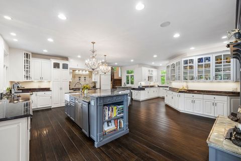 Tiny photo for 17 Ambriance Drive, Burr Ridge, IL 60527 (MLS # 12483298)