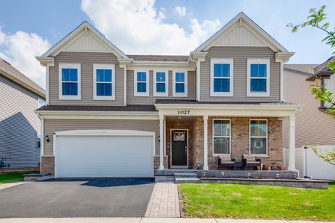 1027 Button Bush Street South Elgin IL 60177