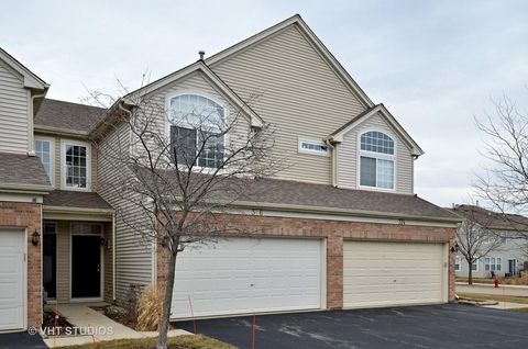 376 N Tower Drive Hainesville IL 60030