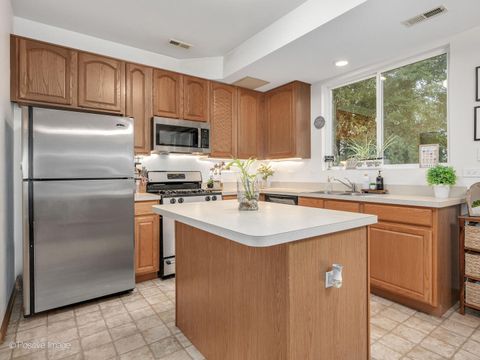 Tiny photo for 1678 WALNUT PARK Lane, Aurora, IL 60504 (MLS # 12482538)