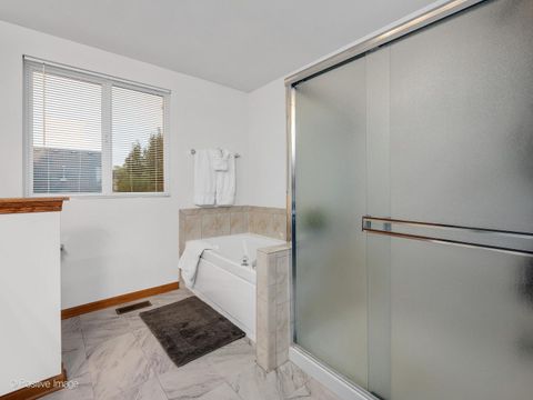 Tiny photo for 1678 WALNUT PARK Lane, Aurora, IL 60504 (MLS # 12482538)