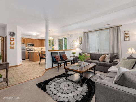 Tiny photo for 1678 WALNUT PARK Lane, Aurora, IL 60504 (MLS # 12482538)