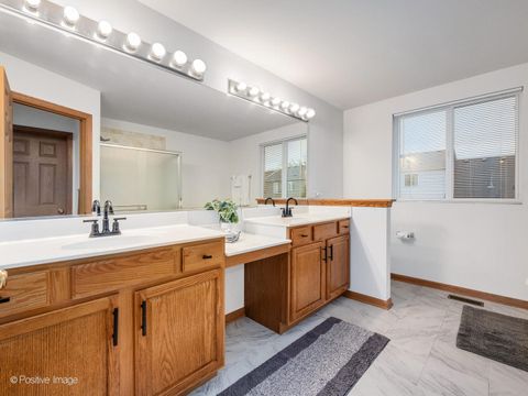 Tiny photo for 1678 WALNUT PARK Lane, Aurora, IL 60504 (MLS # 12482538)