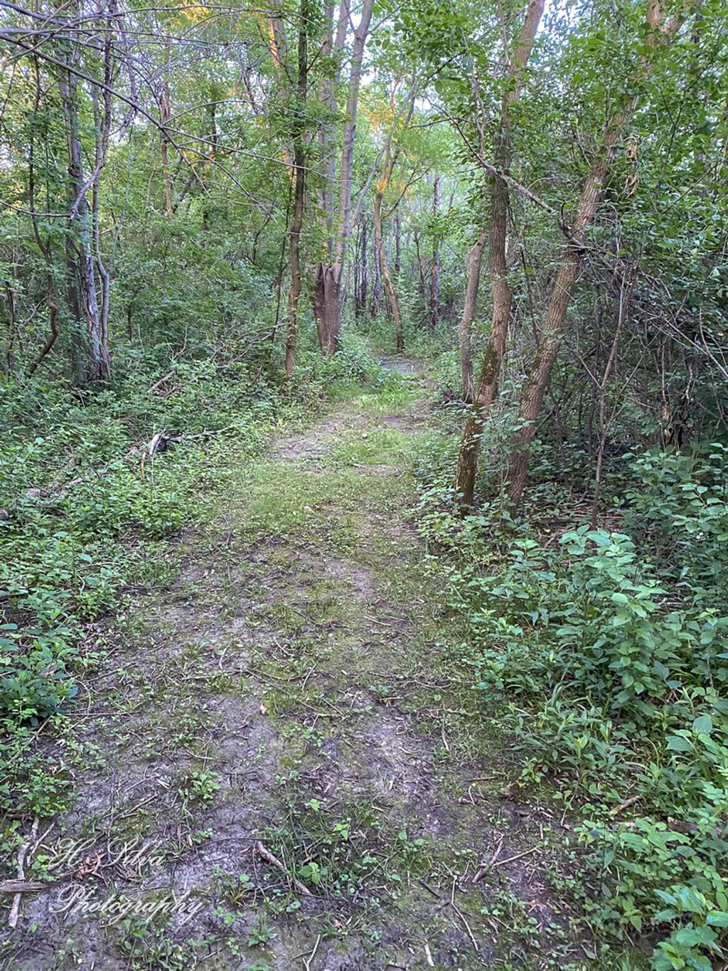 listing image 42