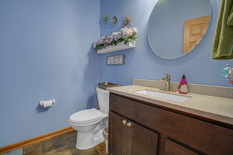 Tiny photo for 25749 S Yellow Pine Drive, Channahon, IL 60410 (MLS # 12483507)