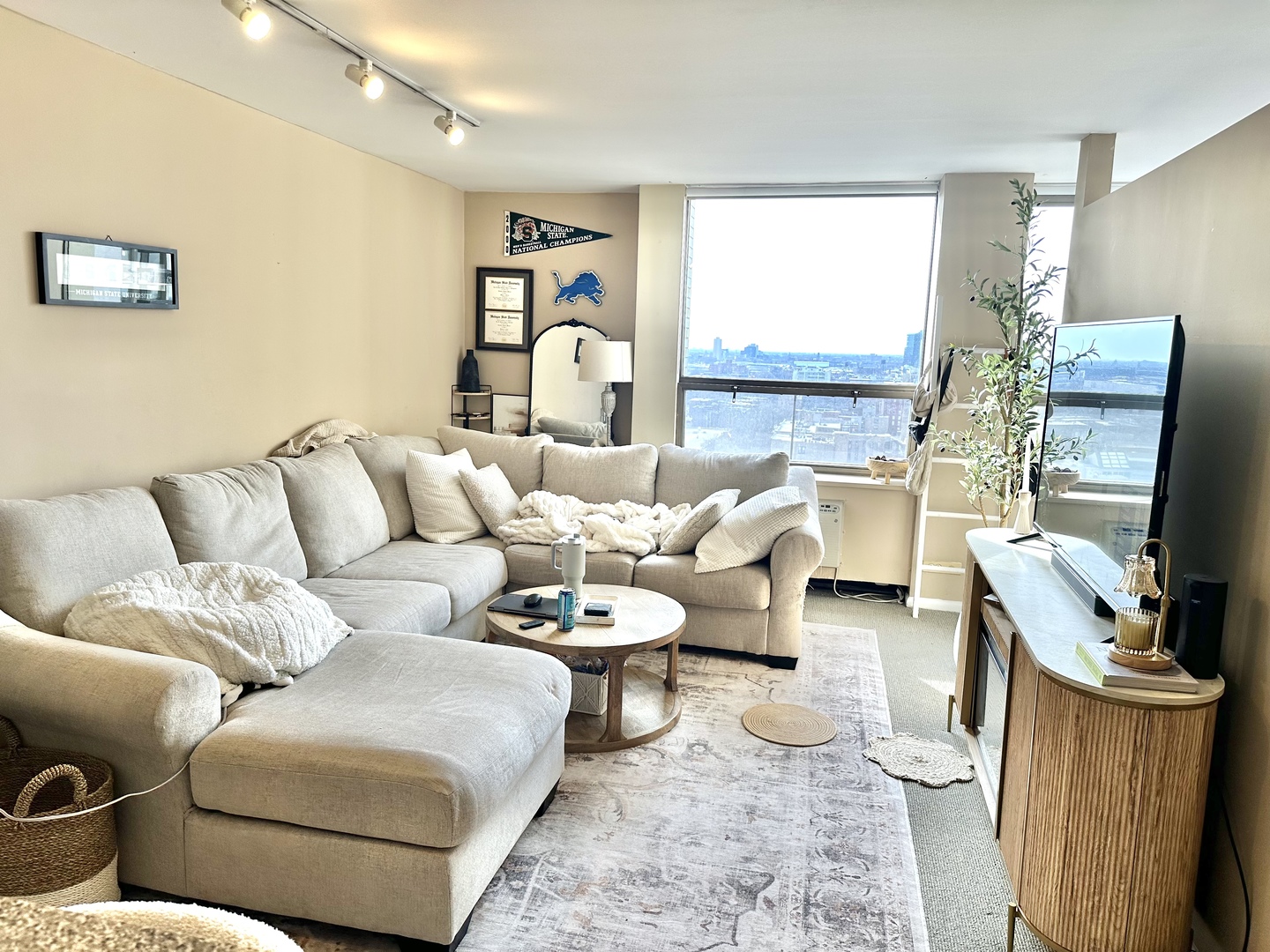 1355 N Sandburg Terrace 1803