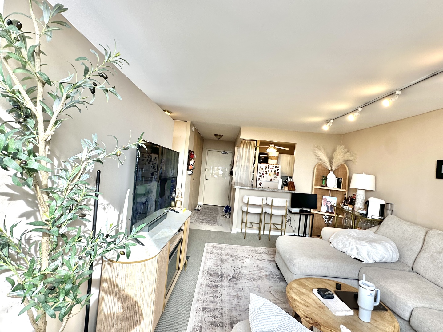 1355 N Sandburg Terrace 1803