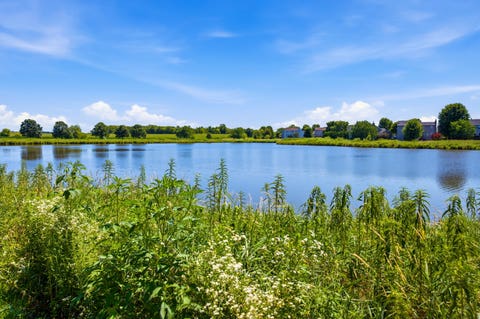 Tiny photo for 2840 Haydn Street, Woodstock, IL 60098 (MLS # 12720508)