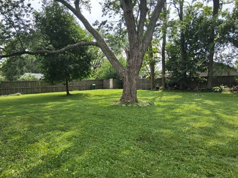 Tiny photo for 1624 N Poplar Avenue, Round Lake Beach, IL 60073 (MLS # 12736945)