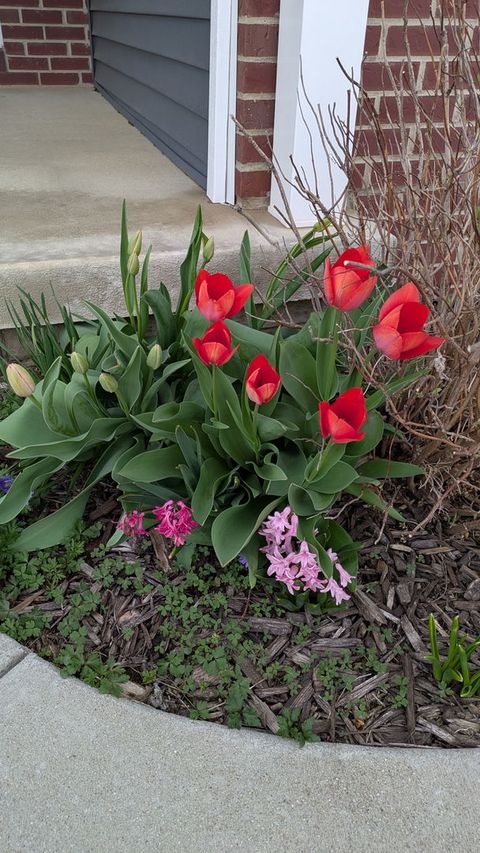 Tiny photo for 1604 Oliger Drive, Mahomet, IL 61853 (MLS # 12607763)