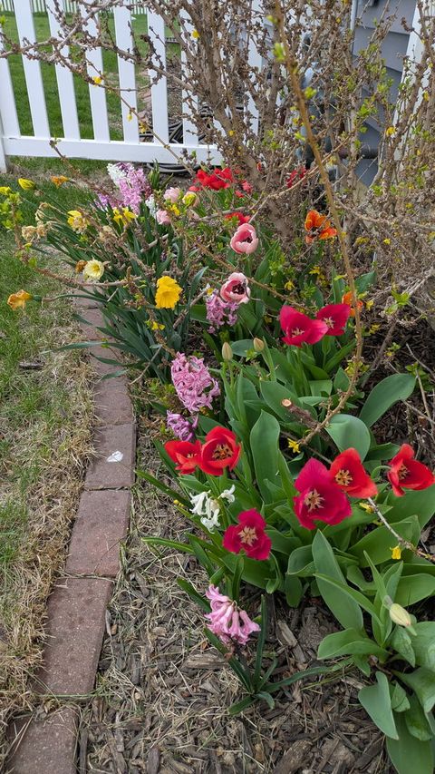 Tiny photo for 1604 Oliger Drive, Mahomet, IL 61853 (MLS # 12607763)