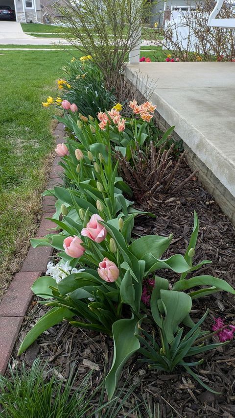 Tiny photo for 1604 Oliger Drive, Mahomet, IL 61853 (MLS # 12607763)