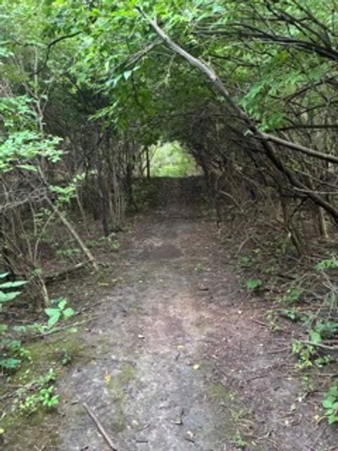 Tiny photo for 22416 S Kings Court, Shorewood, IL 60404 (MLS # 12496382)