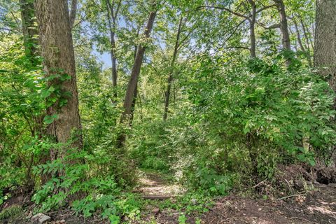 Tiny photo for 22416 S Kings Court, Shorewood, IL 60404 (MLS # 12496382)