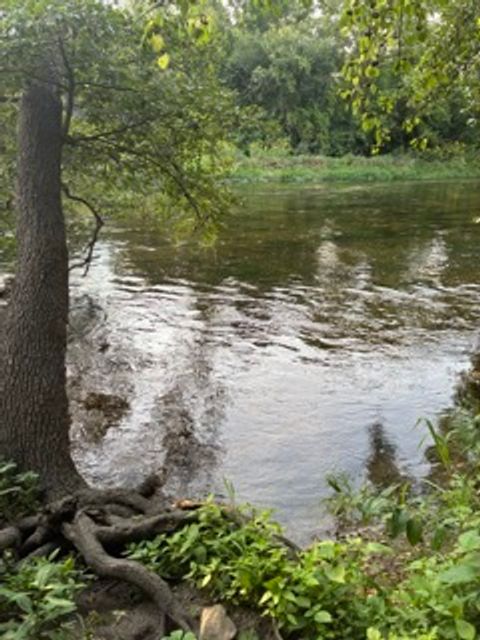 Tiny photo for 22416 S Kings Court, Shorewood, IL 60404 (MLS # 12496382)