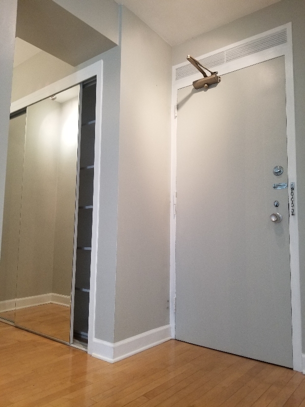 3600 N Lake Shore Drive 309