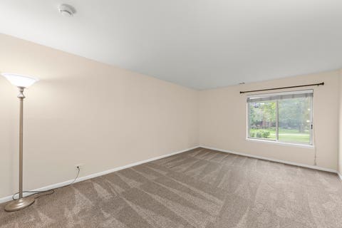 Tiny photo for 245 S Park Lane #103, Palatine, IL 60074 (MLS # 12731296)