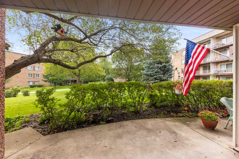 Tiny photo for 245 S Park Lane #103, Palatine, IL 60074 (MLS # 12731296)