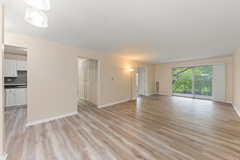 Tiny photo for 245 S Park Lane #103, Palatine, IL 60074 (MLS # 12731296)