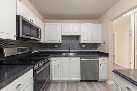 Tiny photo for 245 S Park Lane #103, Palatine, IL 60074 (MLS # 12731296)