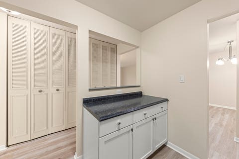 Tiny photo for 245 S Park Lane #103, Palatine, IL 60074 (MLS # 12731296)