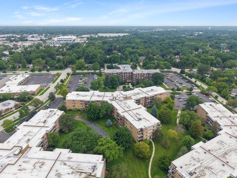 Tiny photo for 245 S Park Lane #103, Palatine, IL 60074 (MLS # 12731296)