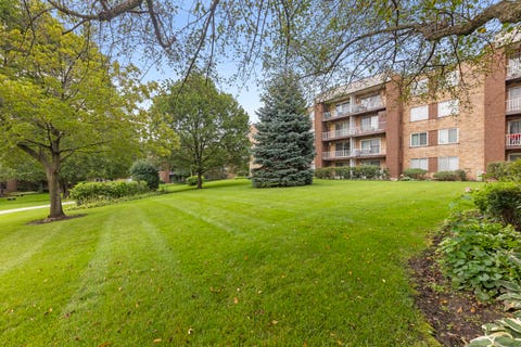 Tiny photo for 245 S Park Lane #103, Palatine, IL 60074 (MLS # 12731296)