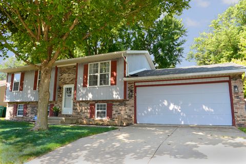 Photo of 1403 Dakota Drive, Ottawa, IL 61350 (MLS # 12449366)