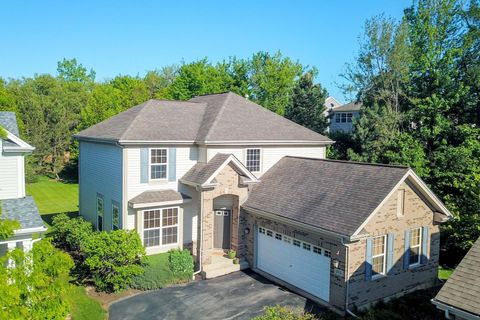 315 Seaton Court Lake Zurich IL 60047