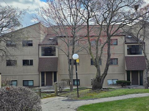 Tiny photo for 58 Vail Colony #7, Fox Lake, IL 60020 (MLS # 12616189)