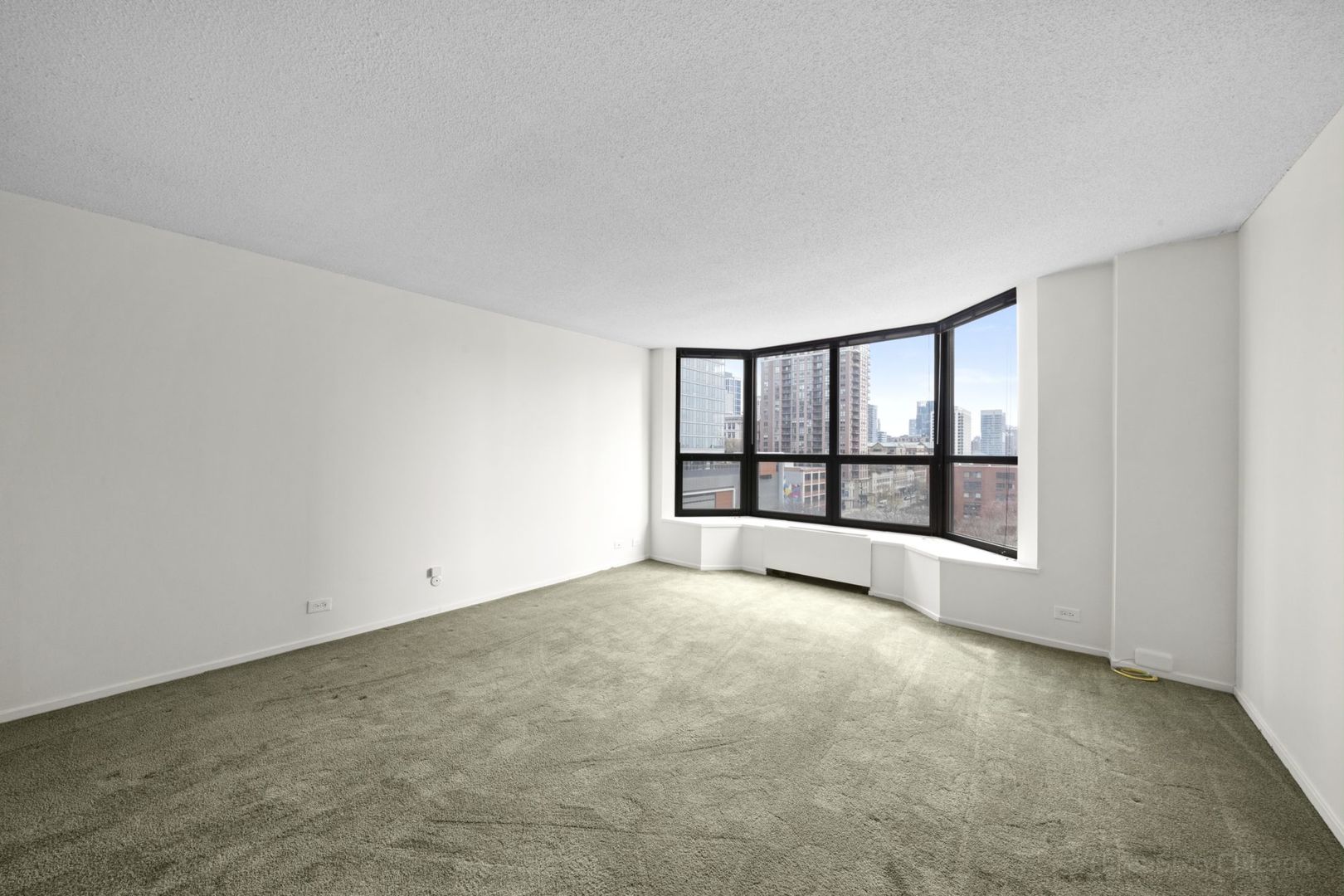 899 S Plymouth Court 605