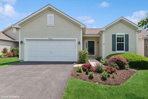715 S Wellston Lane Romeoville IL 60446