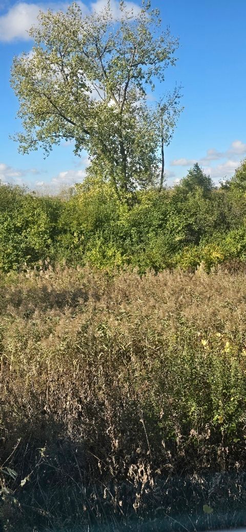 Tiny photo for 526 Cimmaron Circle, Crystal Lake, IL 60012 (MLS # 12514556)