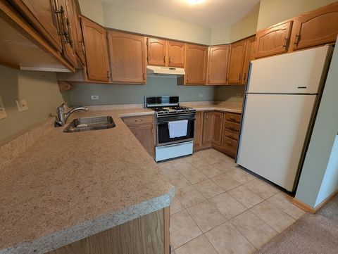 Tiny photo for 4913 W Oakwood Drive #B, McHenry, IL 60050 (MLS # 12482634)