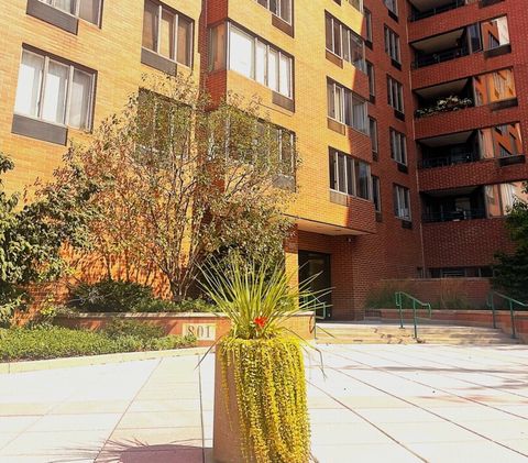 801 S Plymouth Court 416 Chicago IL 60605