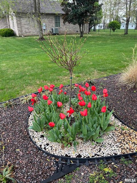 Tiny photo for 202 Dinah Lane, Marion, IL 62959 (MLS # QC4269361)